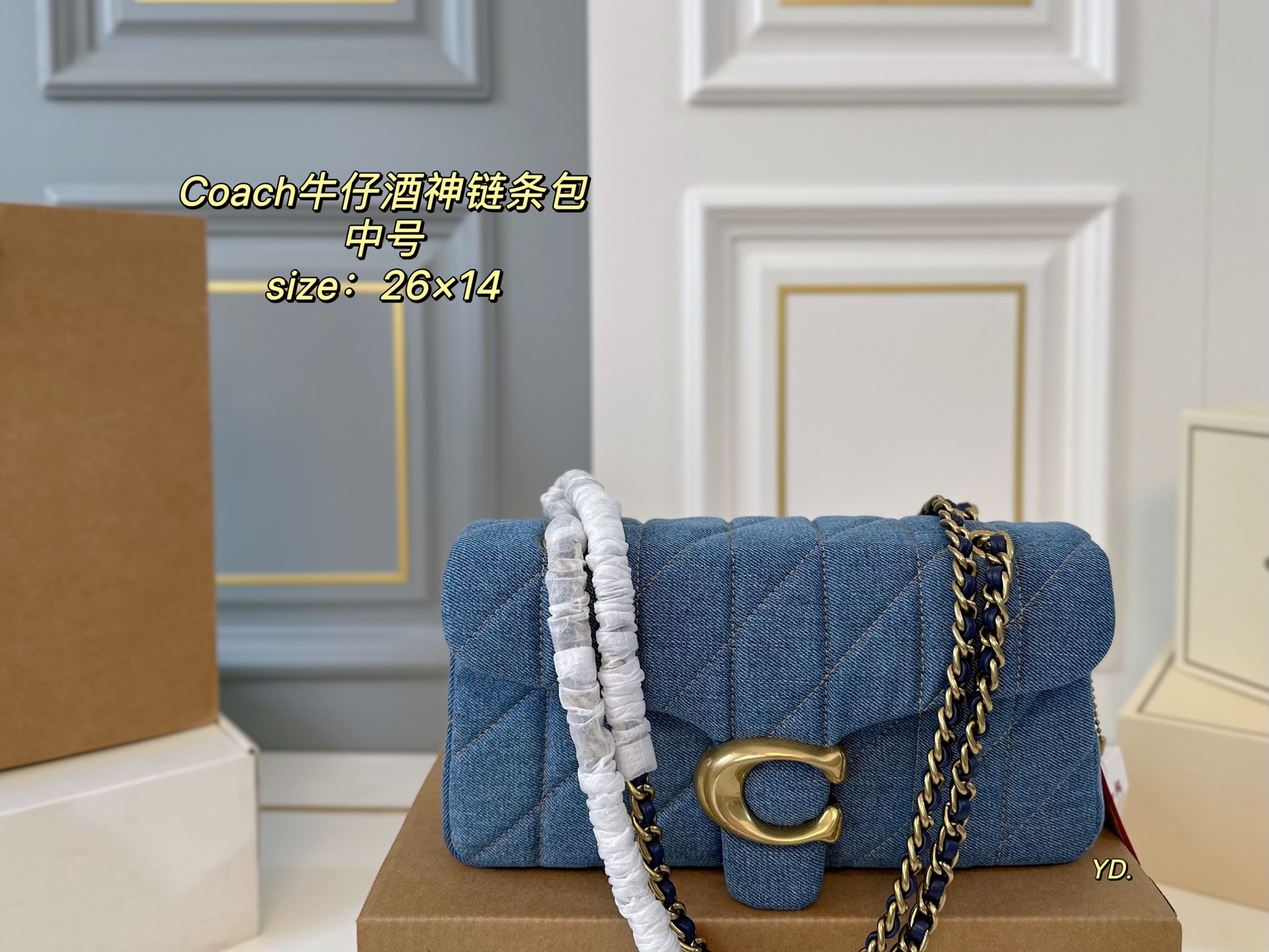 coach bag 226